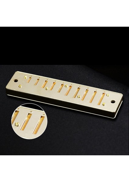 Silver Metal Swan Diatonic Blues Armonika Ağız Organı 10 Delik C Tuşu Arp Ağız Organı (Yurt Dışından) modelleri
