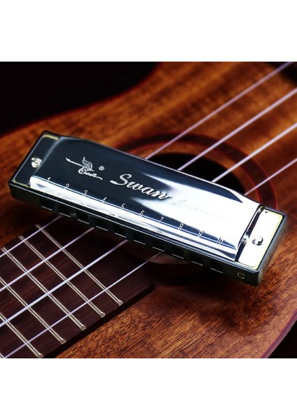 Silver Metal Swan Diatonic Blues Armonika Ağız Organı 10 Delik C Tuşu Arp Ağız Organı (Yurt Dışından) fırsatları
