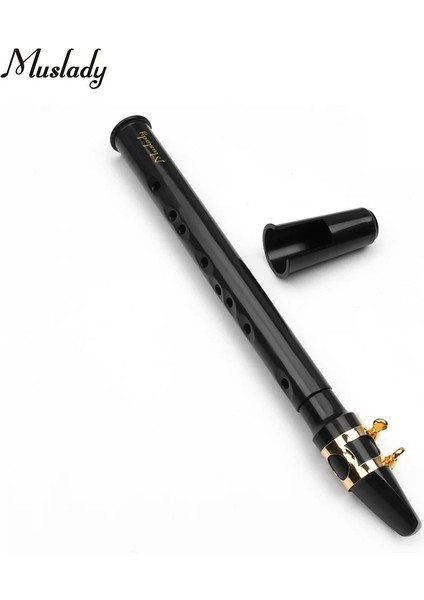 Siyah Saks Takım 1 Stil Mini Taşınabilir Saksafon Siyah Saksafon Seti Cep Saksafon Sax Sazlıklı Küçük Saksafon Taşıma Çantası Diş Macunları Yeni Başlayanlar Için (Yurt Dışından)