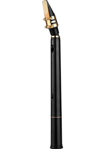 Siyah Saks Takım 1 Stil Mini Taşınabilir Saksafon Siyah Saksafon Seti Cep Saksafon Sax Sazlıklı Küçük Saksafon Taşıma Çantası Diş Macunları Yeni Başlayanlar Için (Yurt Dışından) fiyatları