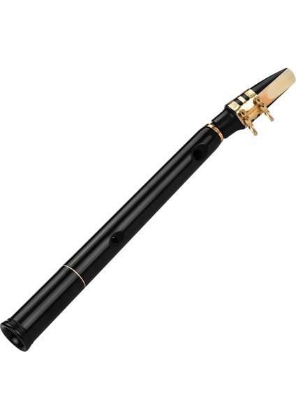 Siyah Saks Takım 1 Stil Mini Taşınabilir Saksafon Siyah Saksafon Seti Cep Saksafon Sax Sazlıklı Küçük Saksafon Taşıma Çantası Diş Macunları Yeni Başlayanlar Için (Yurt Dışından) fırsatları
