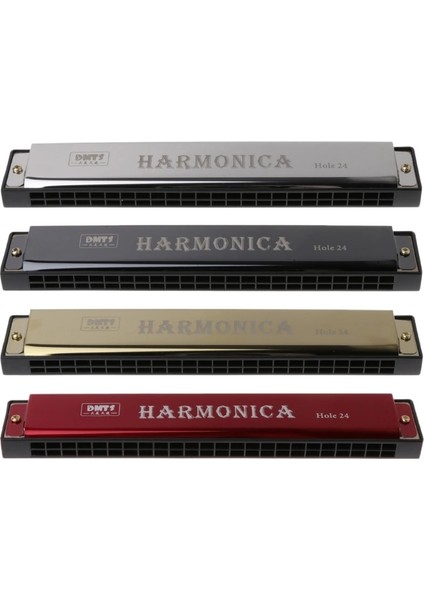 Gümüş Tarzı Yeni Başlayanlar Için Profesyonel 24 Delikli Armonika Ağızlı Metal Organ (Yurt Dışından) indirimleri