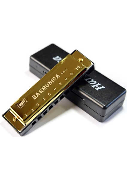 Siyah Stil Titanyum Bakır Çekirdek Mızıka C Tuşu 10 Delik 20 Ton Blues Ağız Organı Mondharmonica Armonica Acemi Müzik Aletleri (Yurt Dışından) fırsatları