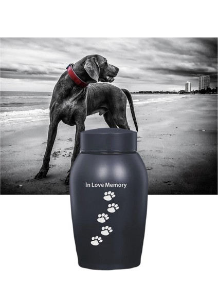 Crematie Gedenkteken Urn Ewaar Herinneringen Roestvrij Staal Duurzaam Souvenir B (Yurt Dışından) fırsatları