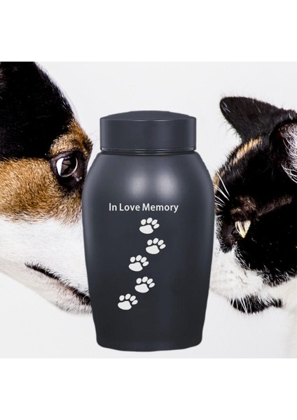 Crematie Gedenkteken Urn Ewaar Herinneringen Roestvrij Staal Duurzaam Souvenir B (Yurt Dışından) indirimleri