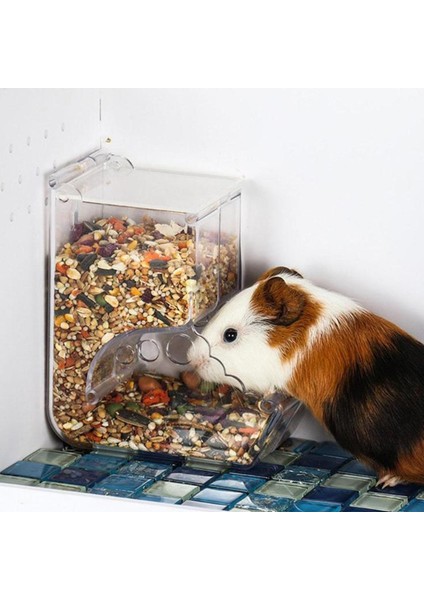 Hamster Besleyici Dağıtıcı Gıda Baykuş Pet (Yurt Dışından) fiyatları
