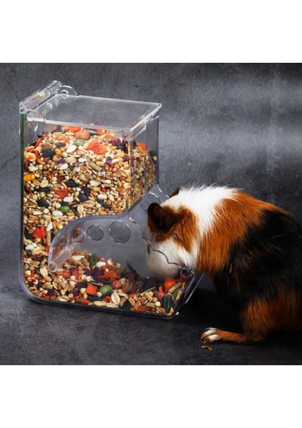 Hamster Besleyici Dağıtıcı Gıda Baykuş Pet (Yurt Dışından) modelleri