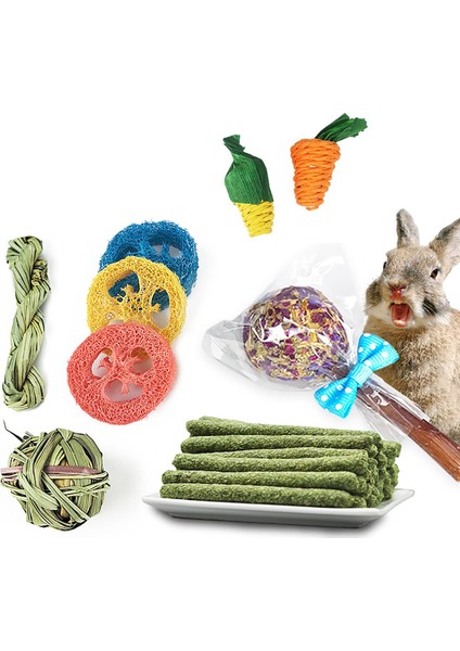 14 Hamster Molar Oyuncaklar Işan Küçük I Çiğ Oyuncakları (Yurt Dışından) modelleri