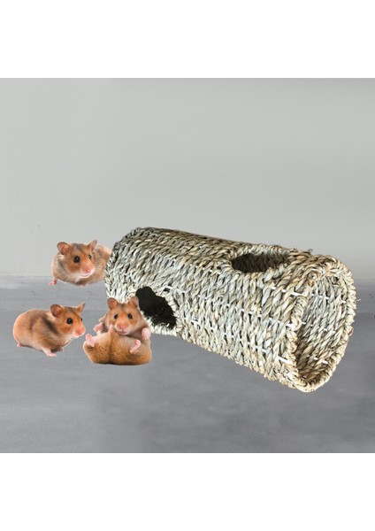 Suriye Hamster Kirpi Chinchilla Için Hamster Çim Tüneli Dayanıklı Saklanma Alanı (Yurt Dışından) fiyatları