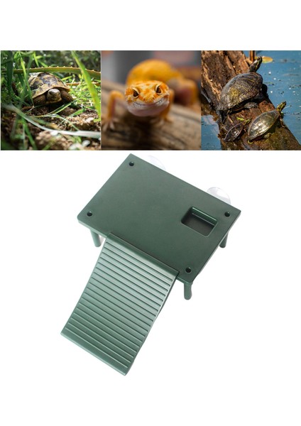 Kaplumbağa Basking Platformu Evcil Malzemeleri Dekoratif Besleme Kutusu Dock (Yurt Dışından)