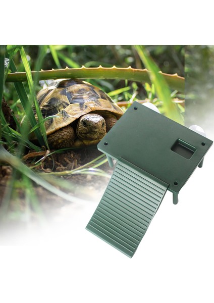 Kaplumbağa Basking Platformu Evcil Malzemeleri Dekoratif Besleme Kutusu Dock (Yurt Dışından)