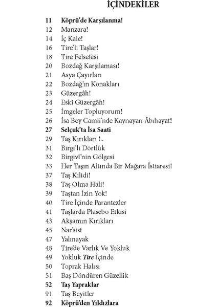 Taşlar Yaşıyor Tire Içinde (Tire Şiirleri) - Hasan Akay - Ileti Kitap