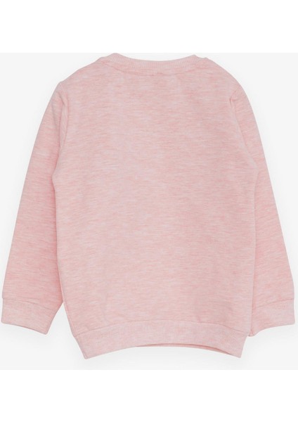 Kız Çocuk Sweatshirt Ayıcık Aksesuarlı 1.5-5 Yaş, Somon Melanj fiyatları