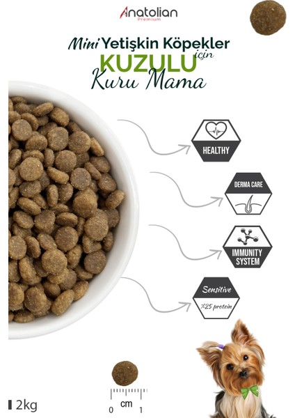 Mini Adult Lamb Kuzulu Yetişkin Küçük Irk Köpek Maması 2 kg modelleri