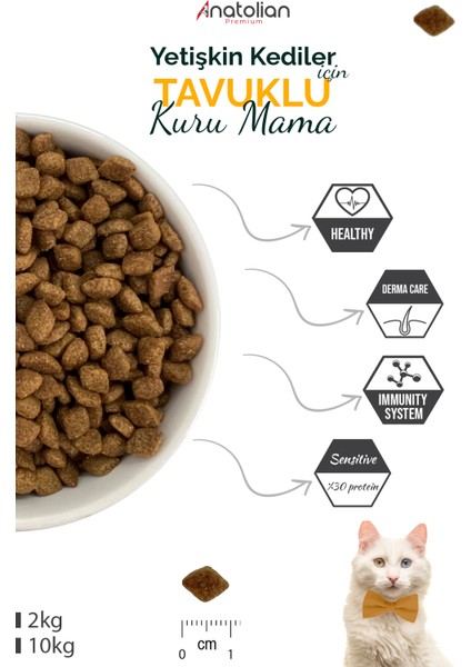 Adult Chicken Yetişkin Tavuklu Kedi Maması 2 kg