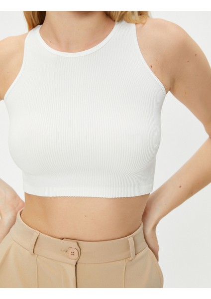 Basic Crop Atlet Yuvarlak Yaka Ribanalı