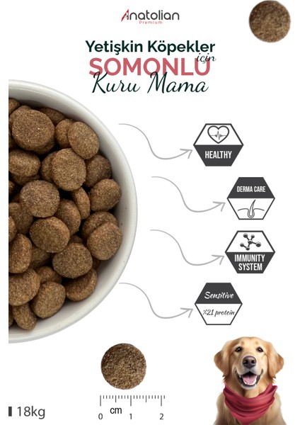 Premium Anatolian Premium Somonlu Yetişkin Köpek Maması 18 kg