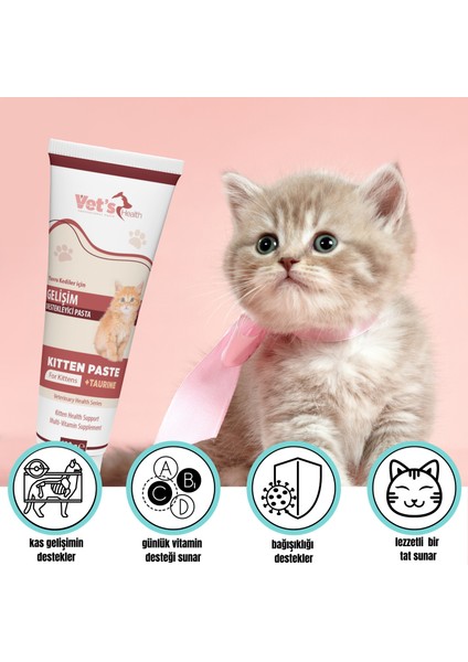 Kitten Paste Yavru Kediler için Gelişim Destekleyici Pasta 100g fiyatları