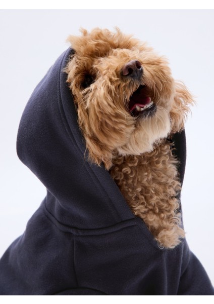Pet Ürünleri Lacivert Gap Logo Köpek Kıyafeti modelleri