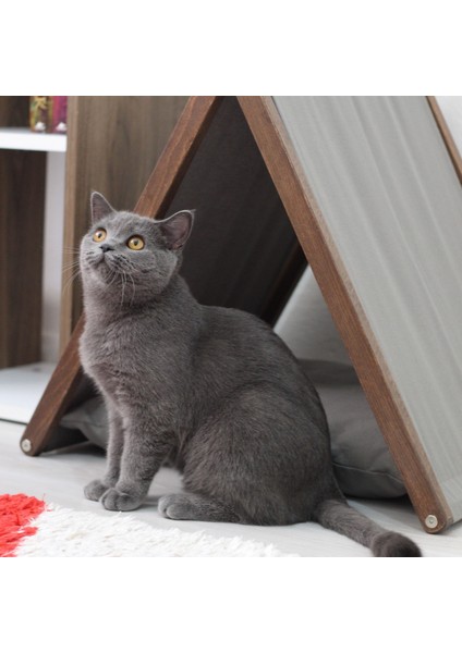 Ketu Kedi Evi - Gri fırsatları