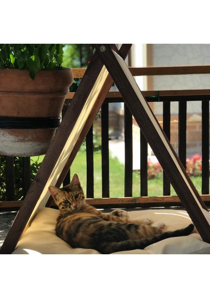 Ketu Kedi Evi -Krem fiyatları