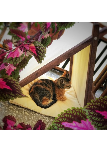 Ketu Kedi Evi -Krem modelleri