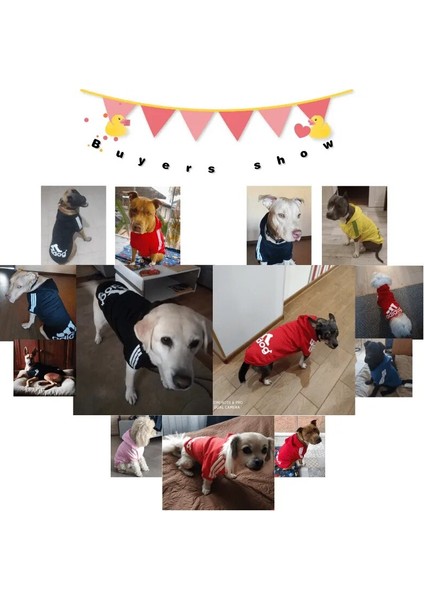 Evcil Köpek Giysiler Köpek Hoodie Fleigh-Sweat-Sweat-Shirt-Sweatshirt (Yurt Dışından) modelleri