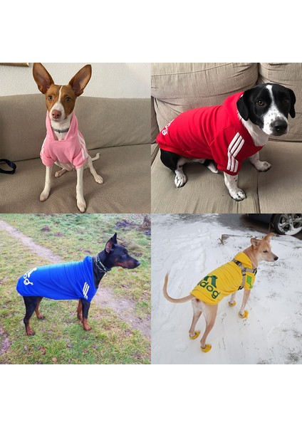 Evcil Köpek Giysiler Köpek Hoodie Fleigh-Sweat-Sweat-Shirt-Sweatshirt (Yurt Dışından) indirimleri