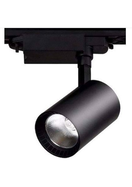 Ray Spot Armen Siyah Kasa Beyaz Işık 20 W Ac