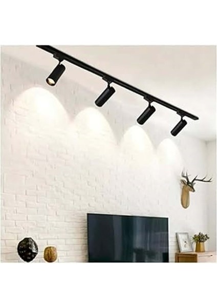 Ray Spot Armen Siyah Kasa Beyaz Işık 20 W Ac fiyatları