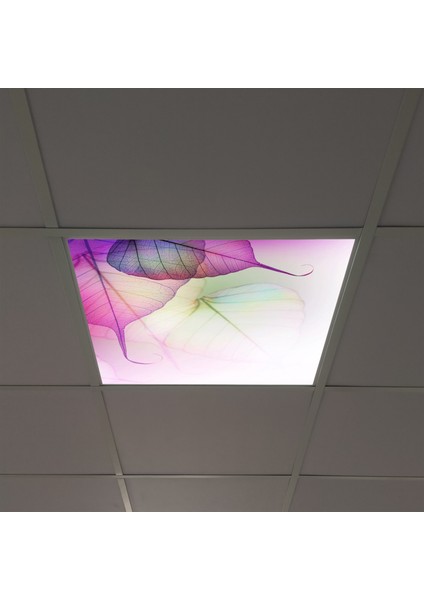 60X60 LED Panel Aydınlatma Armatür Avize Sıva Altı Desenli Tekli 46510001SA