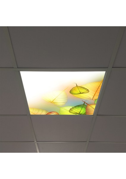 60X60 LED Panel Sıva Altı Desenli Tekli 46510003SA