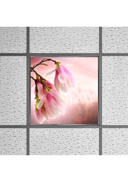 60X60 LED Panel Sıva Altı Desenli Tekli 46510006SA