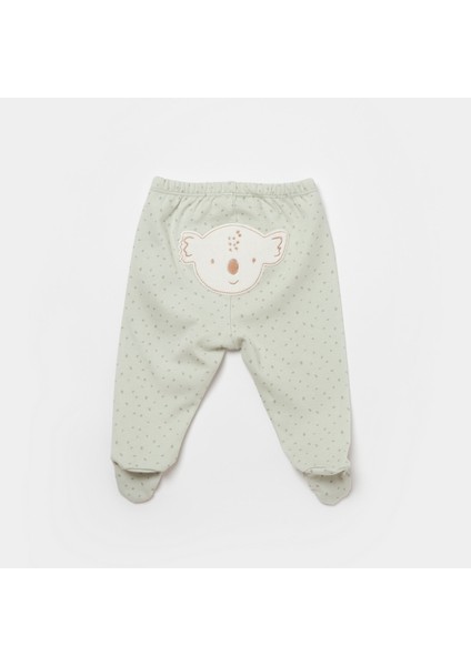 Koala Jungle Patikli Bebek Pantolonu 57888