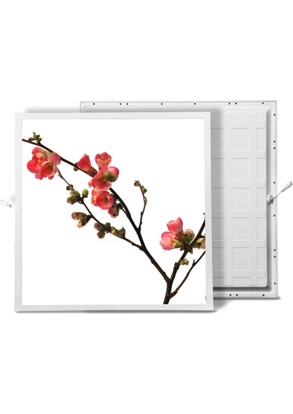 60X60 LED Panel Sıva Altı Desenli Tekli 46510022SA