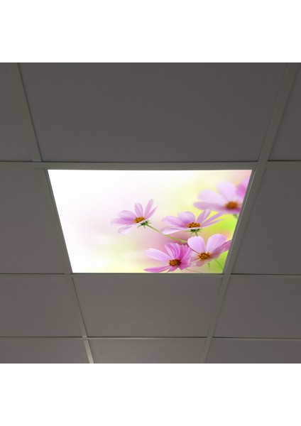 60X60 LED Panel Sıva Altı Desenli Tekli 46510023SA