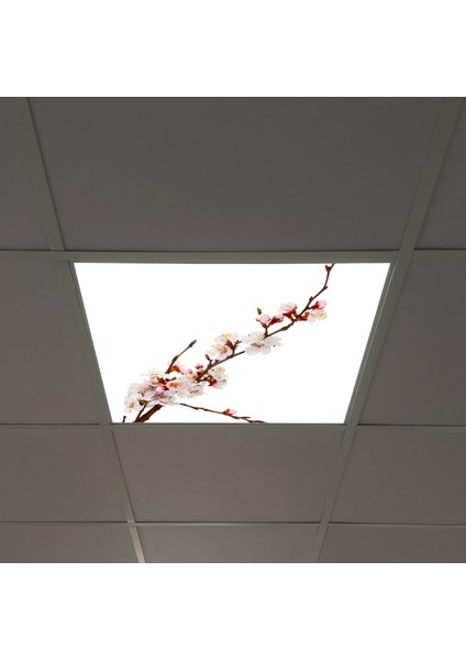 60X60 LED Panel Sıva Altı Desenli Tekli 46510021SA