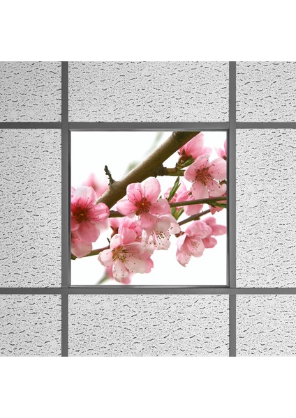 60X60 LED Panel Sıva Altı Desenli Tekli 46510025SA