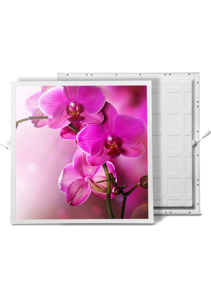 60X60 LED Panel Sıva Altı Desenli Tekli 46510024SA