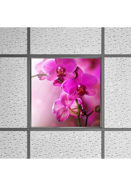 60X60 LED Panel Sıva Altı Desenli Tekli 46510024SA
