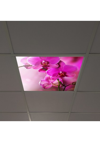 60X60 LED Panel Sıva Altı Desenli Tekli 46510024SA