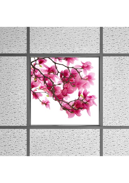 60X60 LED Panel Sıva Altı Desenli Tekli 46510026SA modelleri