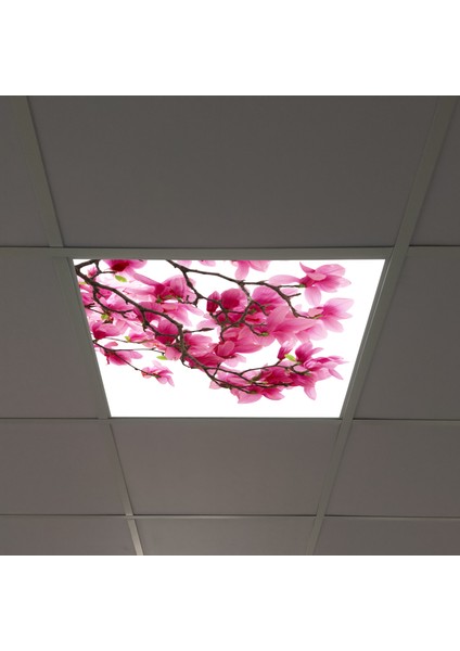 60X60 LED Panel Sıva Altı Desenli Tekli 46510026SA fırsatları