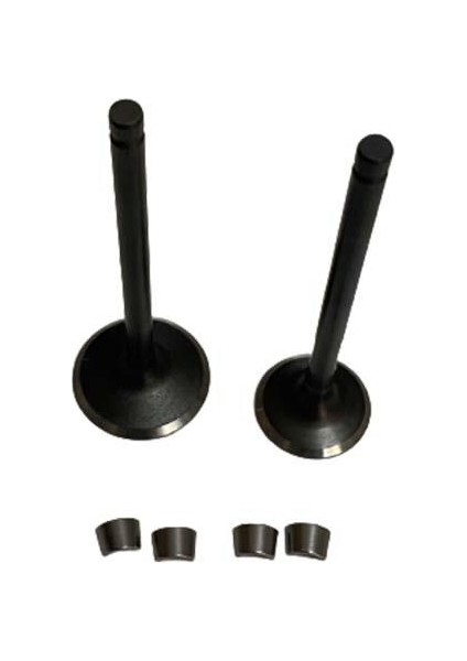 Honda FIZY125 2011-2017 Tırnaklı Subap Emme Egzoz Subabı Takımı Dg