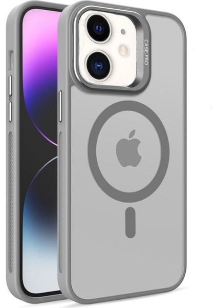 Apple iPhone 11 Kılıf Mat Krom + Kendi Renginde Lens Camı 2'li Set