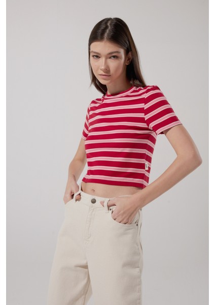 Slim Fit Dar Kesim Bisiklet Yaka Kısa Kollu Crop Renkli Esnek Tişört fiyatları