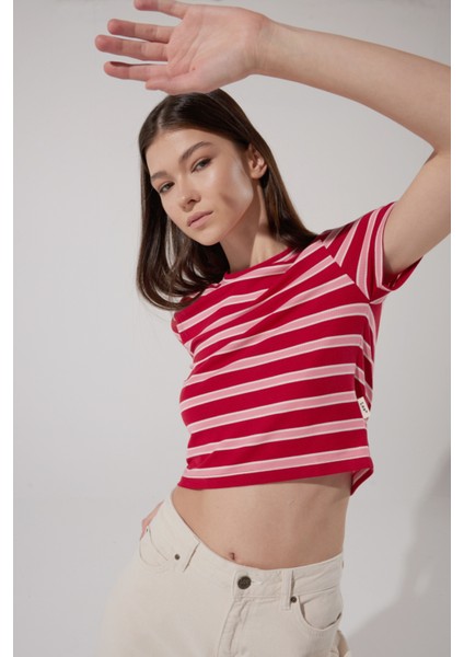 Slim Fit Dar Kesim Bisiklet Yaka Kısa Kollu Crop Renkli Esnek Tişört modelleri