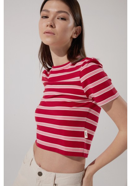 Slim Fit Dar Kesim Bisiklet Yaka Kısa Kollu Crop Renkli Esnek Tişört fırsatları