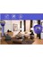Dyson V7 V8 Absolute Elektrikli Süpürge Temizleme Fırçalı Filtre (Yurt Dışından) 5