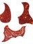 Bir Stil Profesyonel Gitar Pickguard Halk Akustik Kendinden Yapışkanlı Pick Guard Sticker Scratch Plate Gitar Aksesuarları Damla Kuş Şekilli (Yurt Dışından) 3